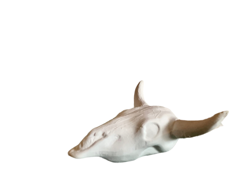 Handmade Ceramic Steer Bull Head Skull