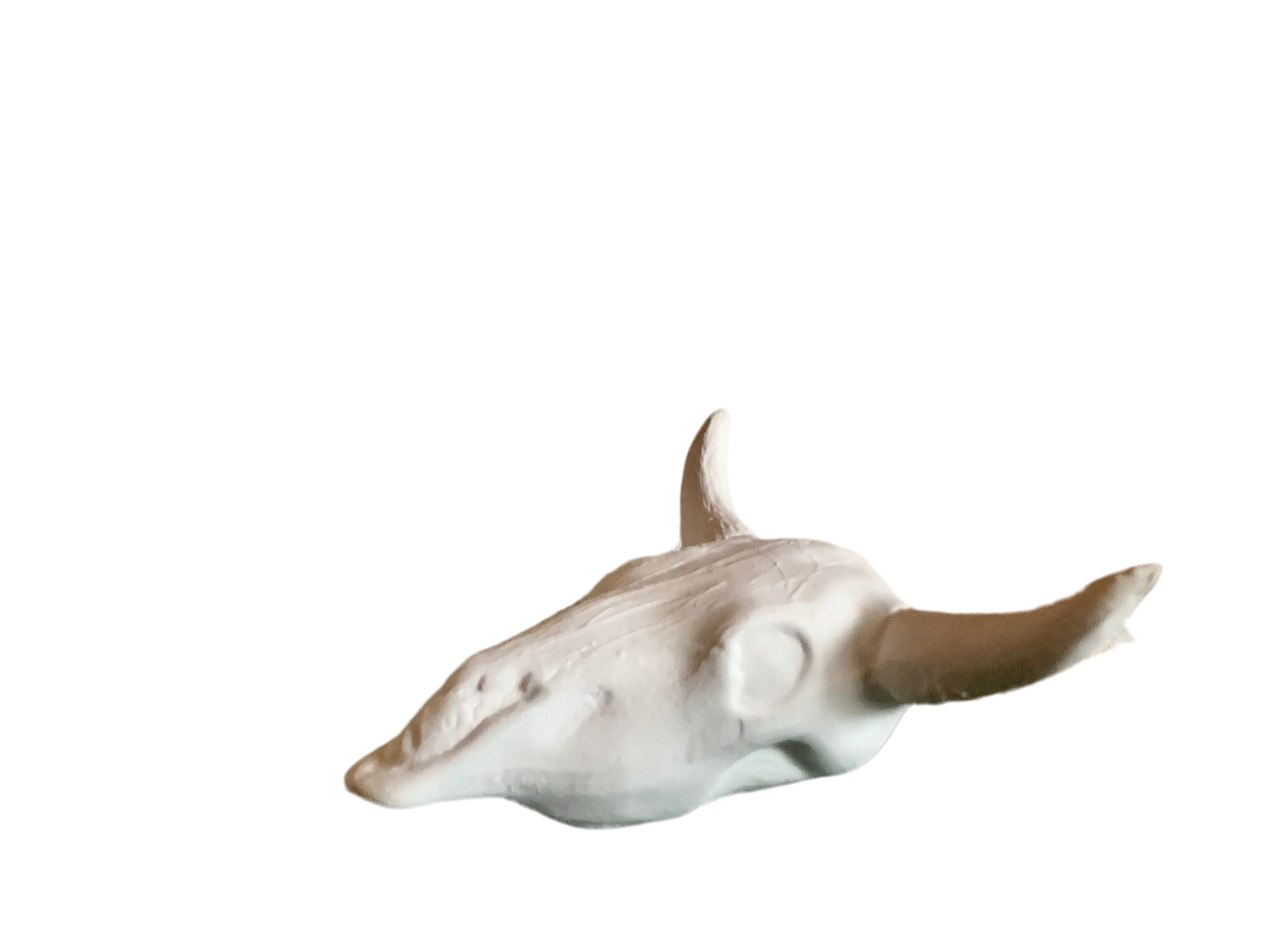 Handmade Ceramic Steer Bull Head Skull