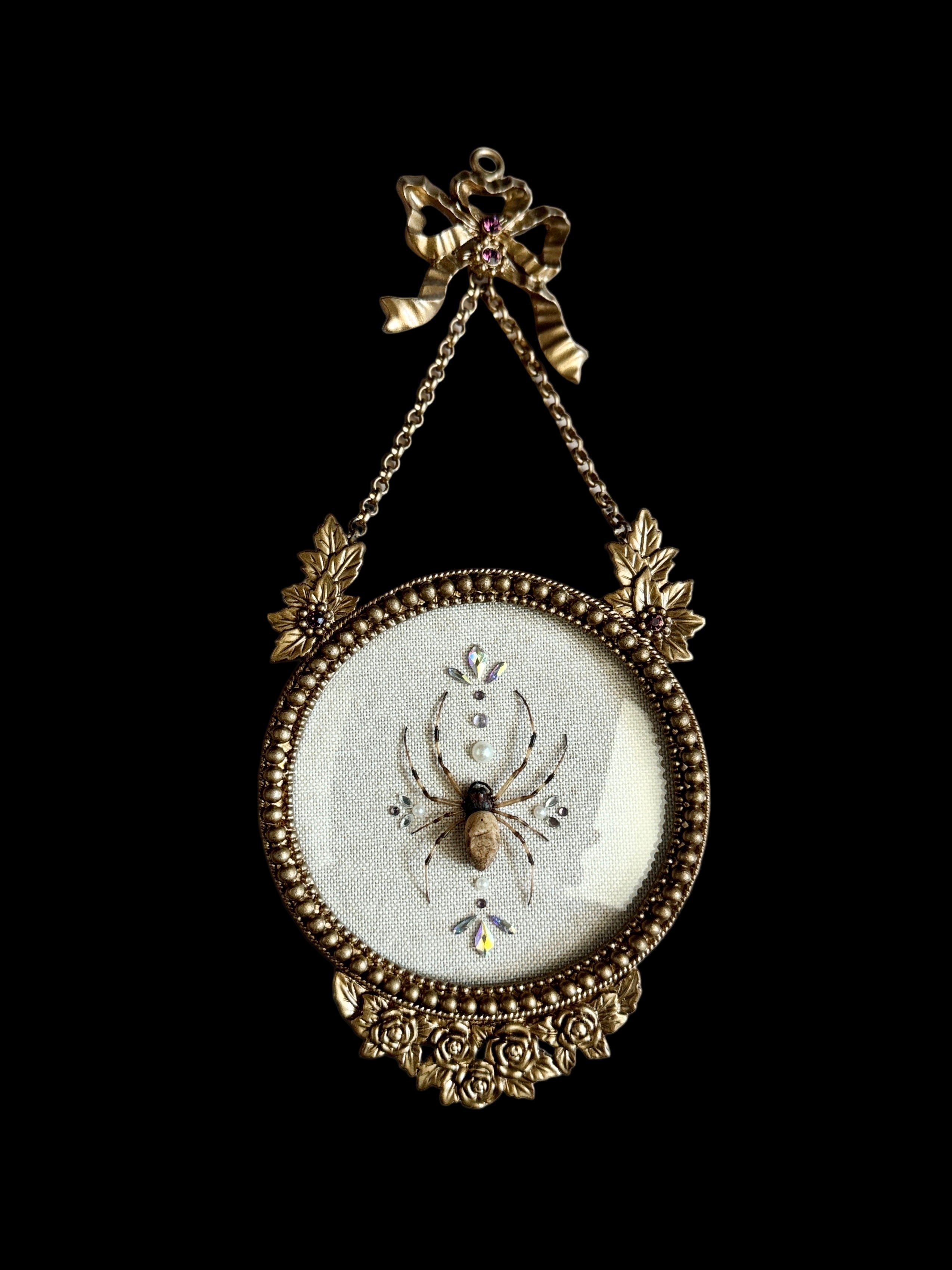 Jeweled Golden Silk Orb Garden Spider Bubble Glass Frame