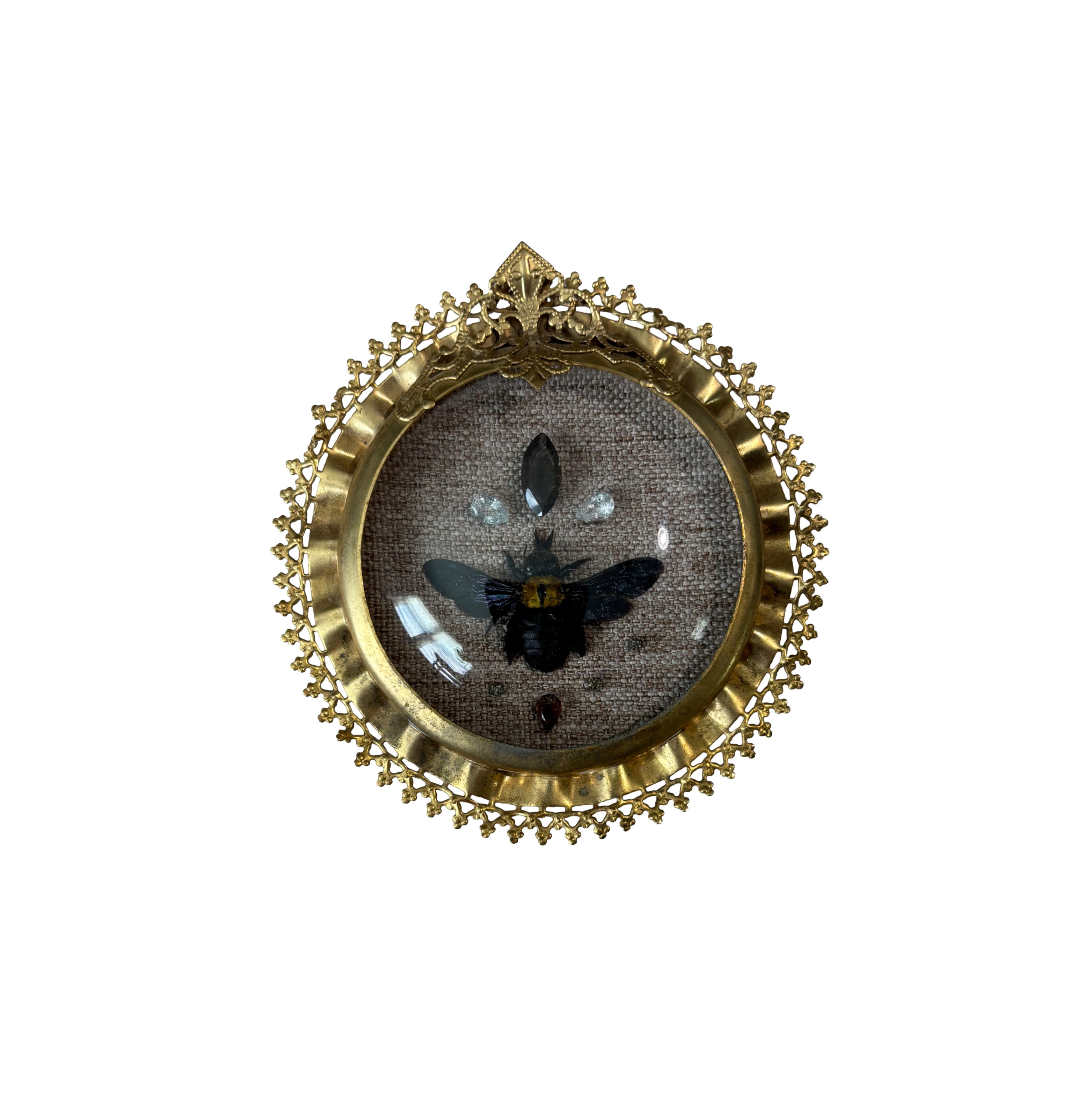 Jeweled Xylocopa Aestuans Bee Bubble Glass Frame