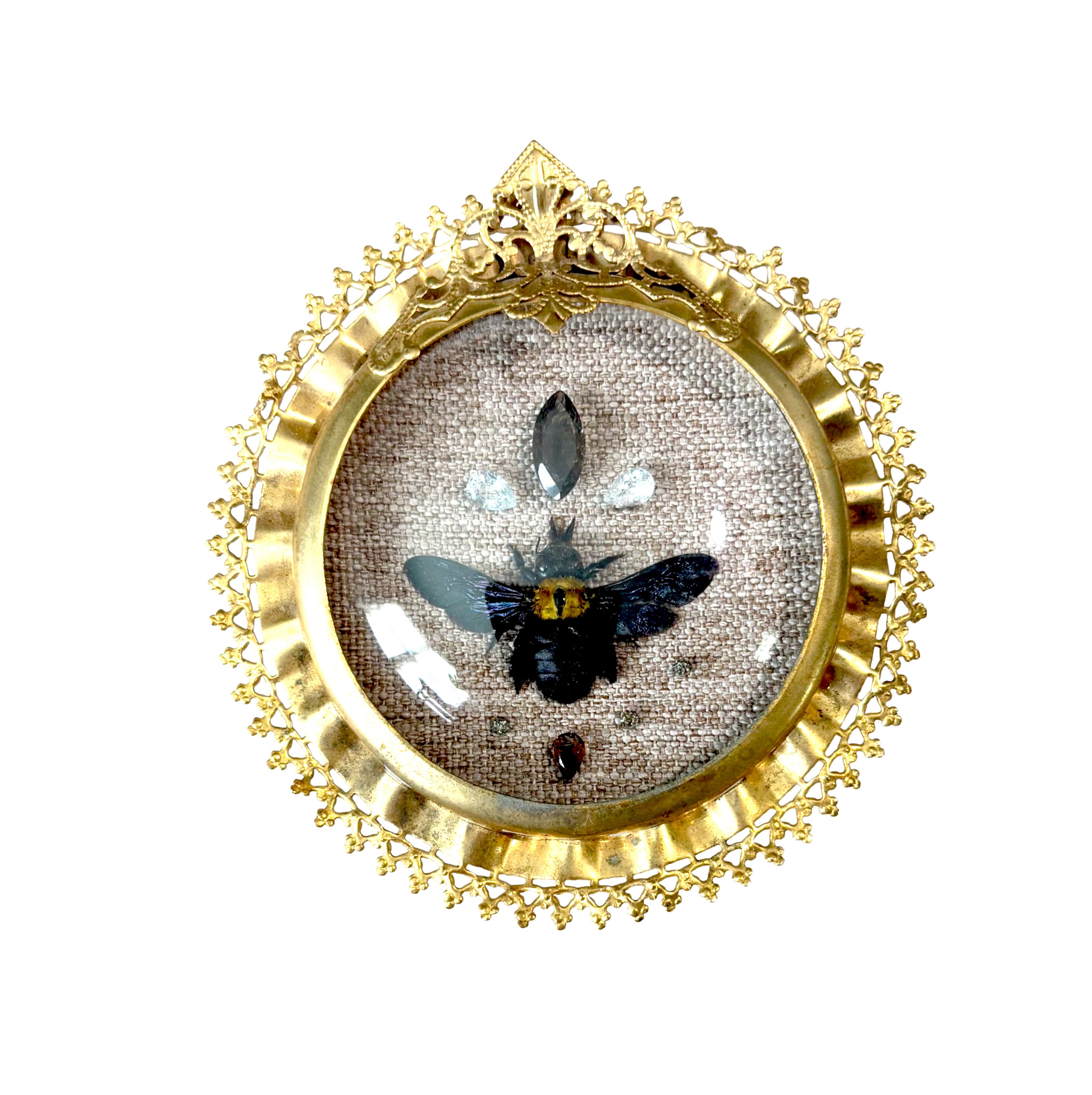 Preservation No. 022: Xylocopa Aestuans
