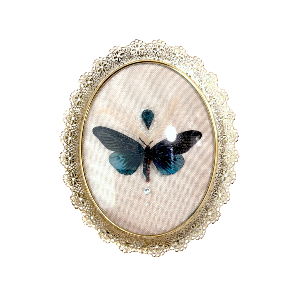 Preservation No. 052: Gynautocera philomera celebensis