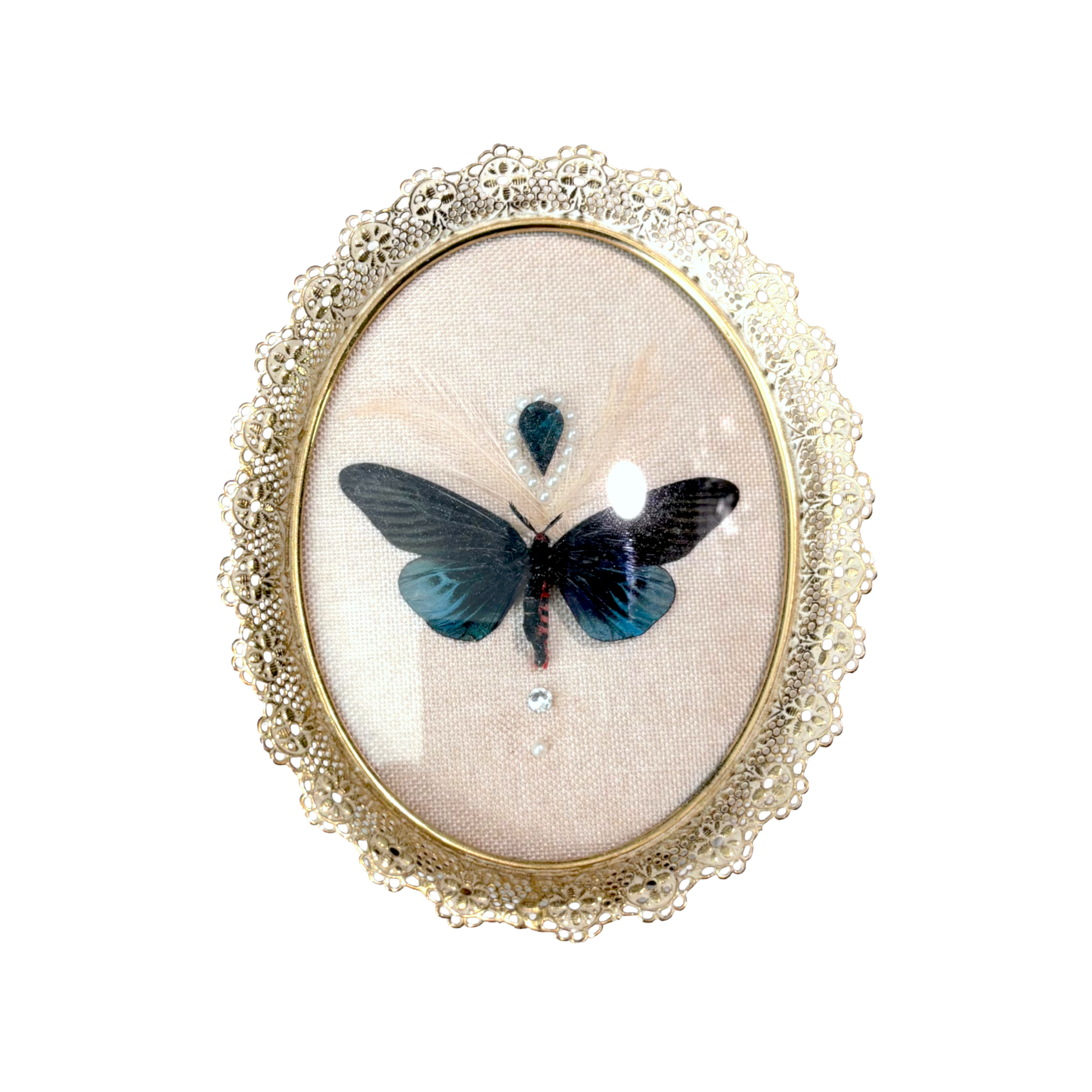 Preservation No. 052: Gynautocera philomera celebensis