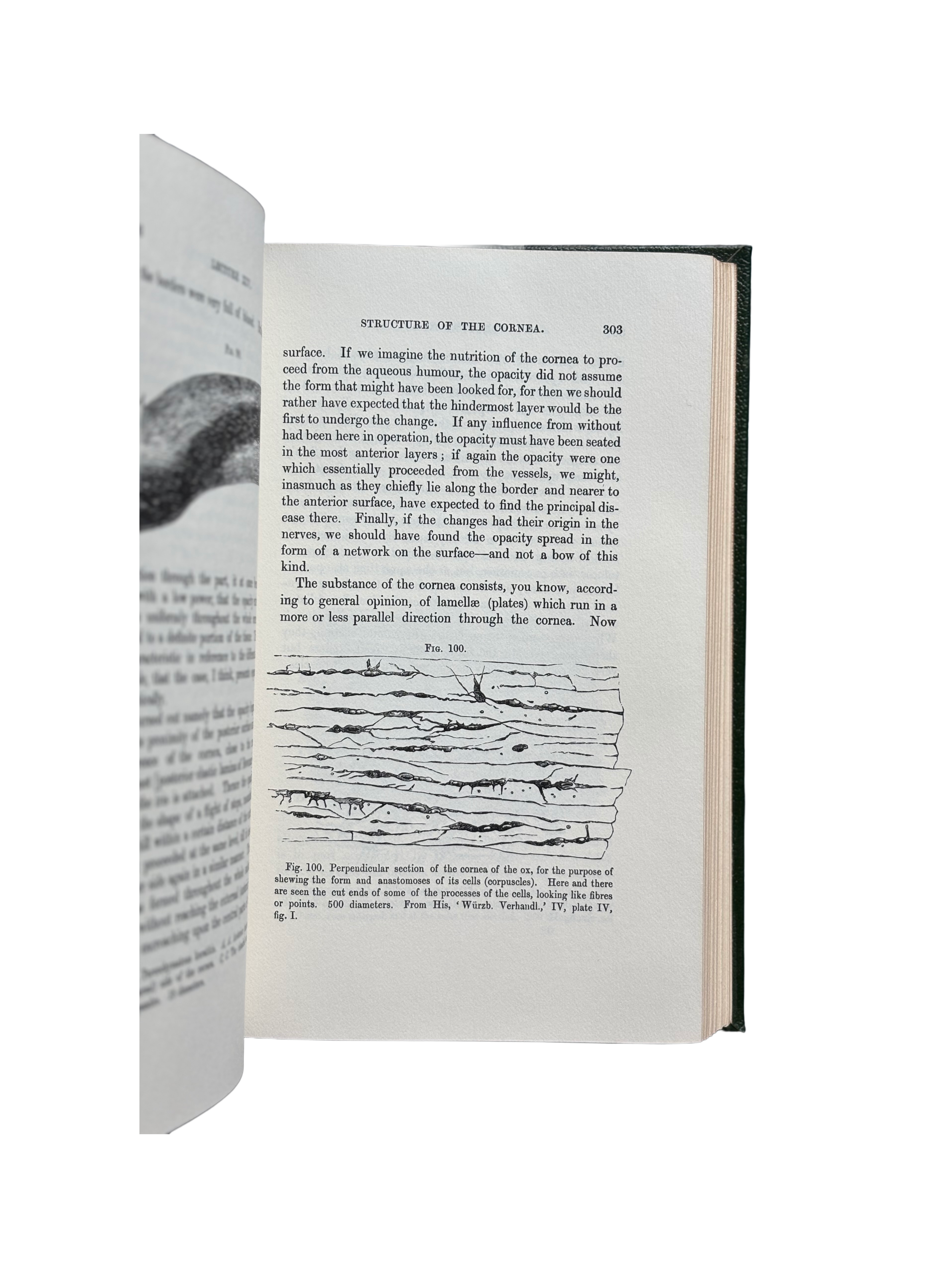 Cellular Pathology by Prof. Rudolph Virchow