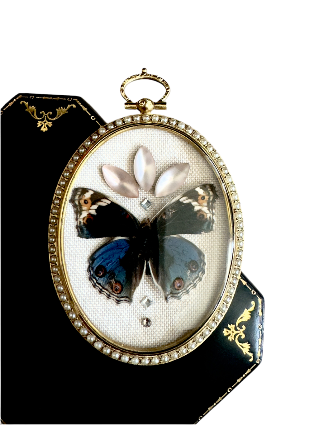 Blue Pansy Butterfly Antique Pearl Frame with Leather Velvet Display Case