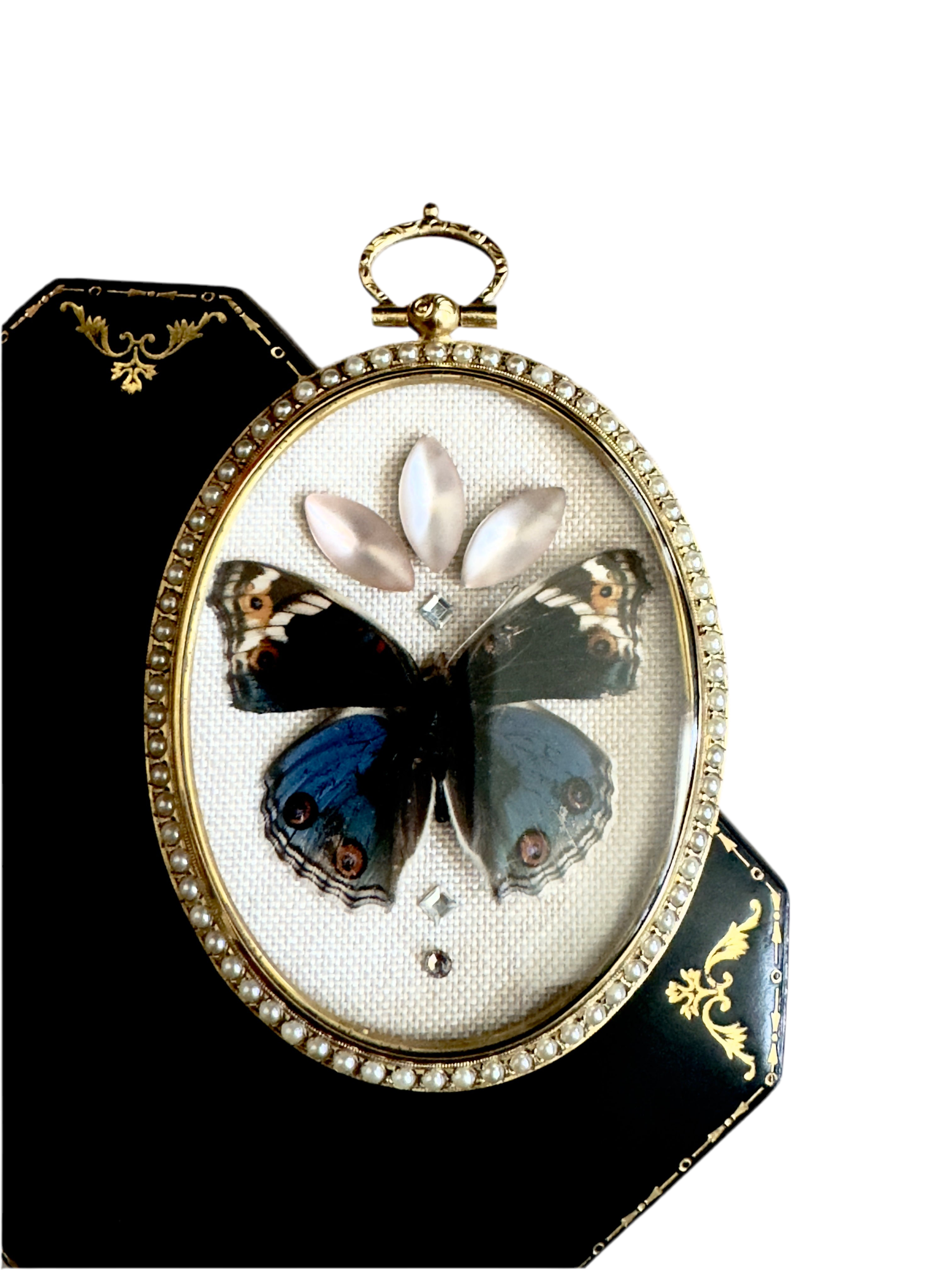 Blue Pansy Butterfly Antique Pearl Frame with Leather Velvet Display Case