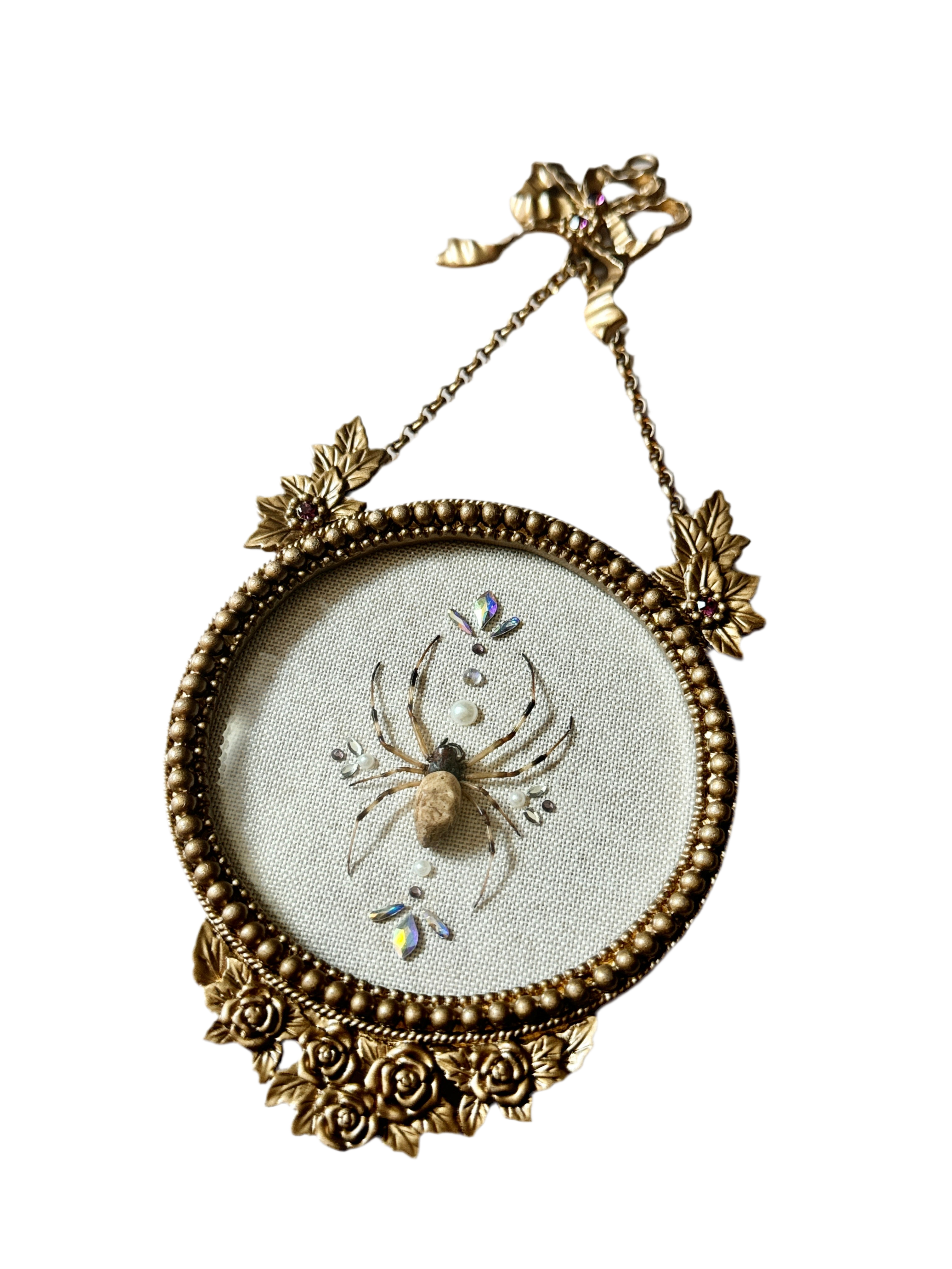 Jeweled Golden Silk Orb Garden Spider Bubble Glass Frame