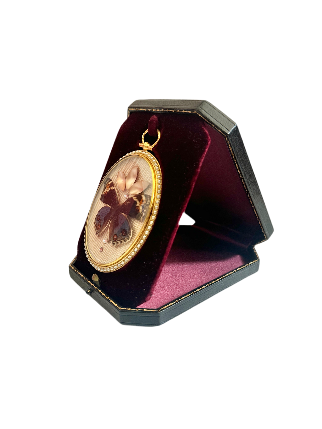 Blue Pansy Butterfly Antique Pearl Frame with Leather Velvet Display Case