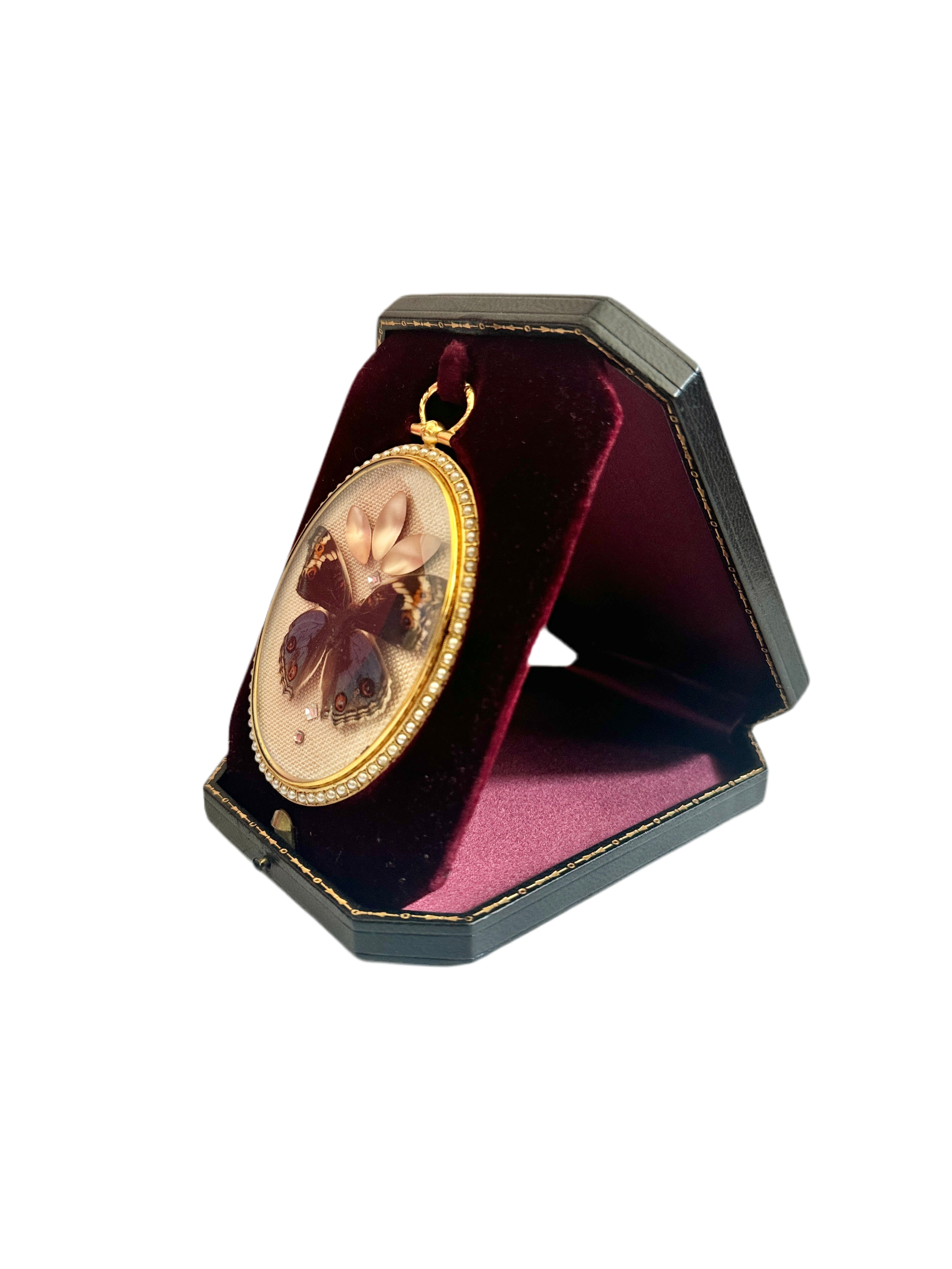 Blue Pansy Butterfly Antique Pearl Frame with Leather Velvet Display Case