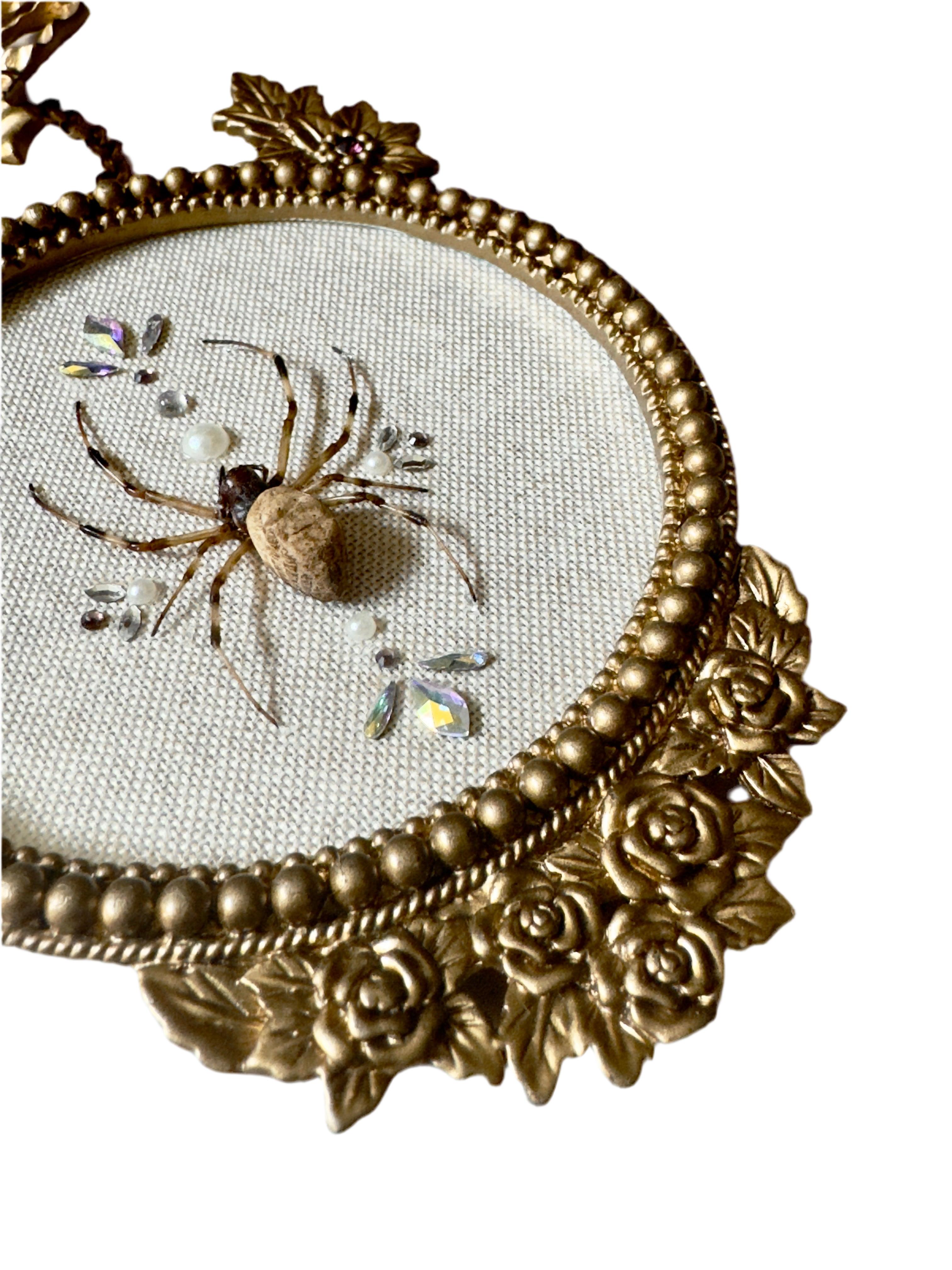 Jeweled Golden Silk Orb Garden Spider Bubble Glass Frame