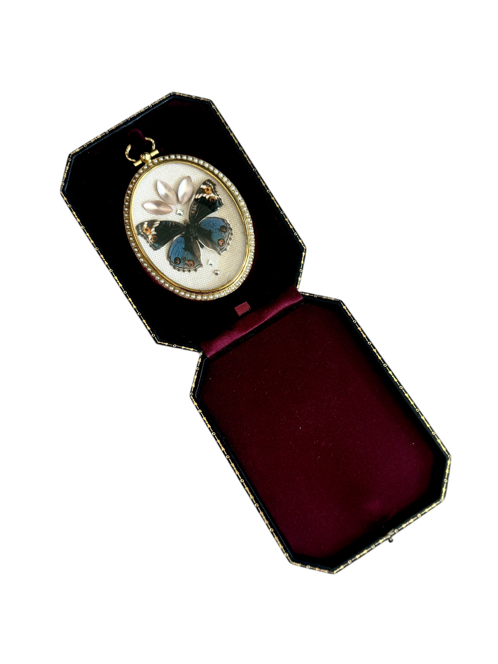 Blue Pansy Butterfly Antique Pearl Frame with Leather Velvet Display Case