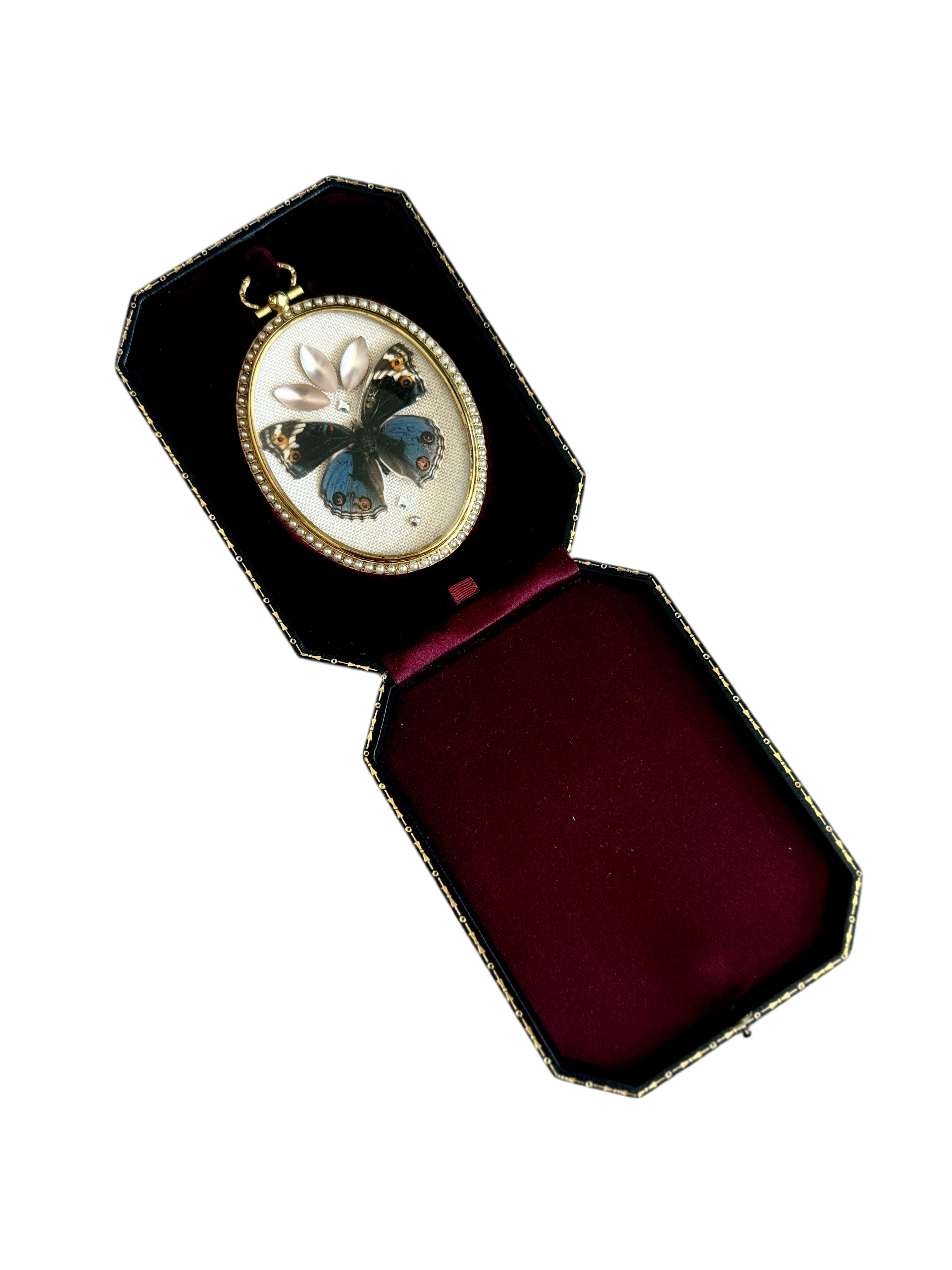 Blue Pansy Butterfly Antique Pearl Frame with Leather Velvet Display Case