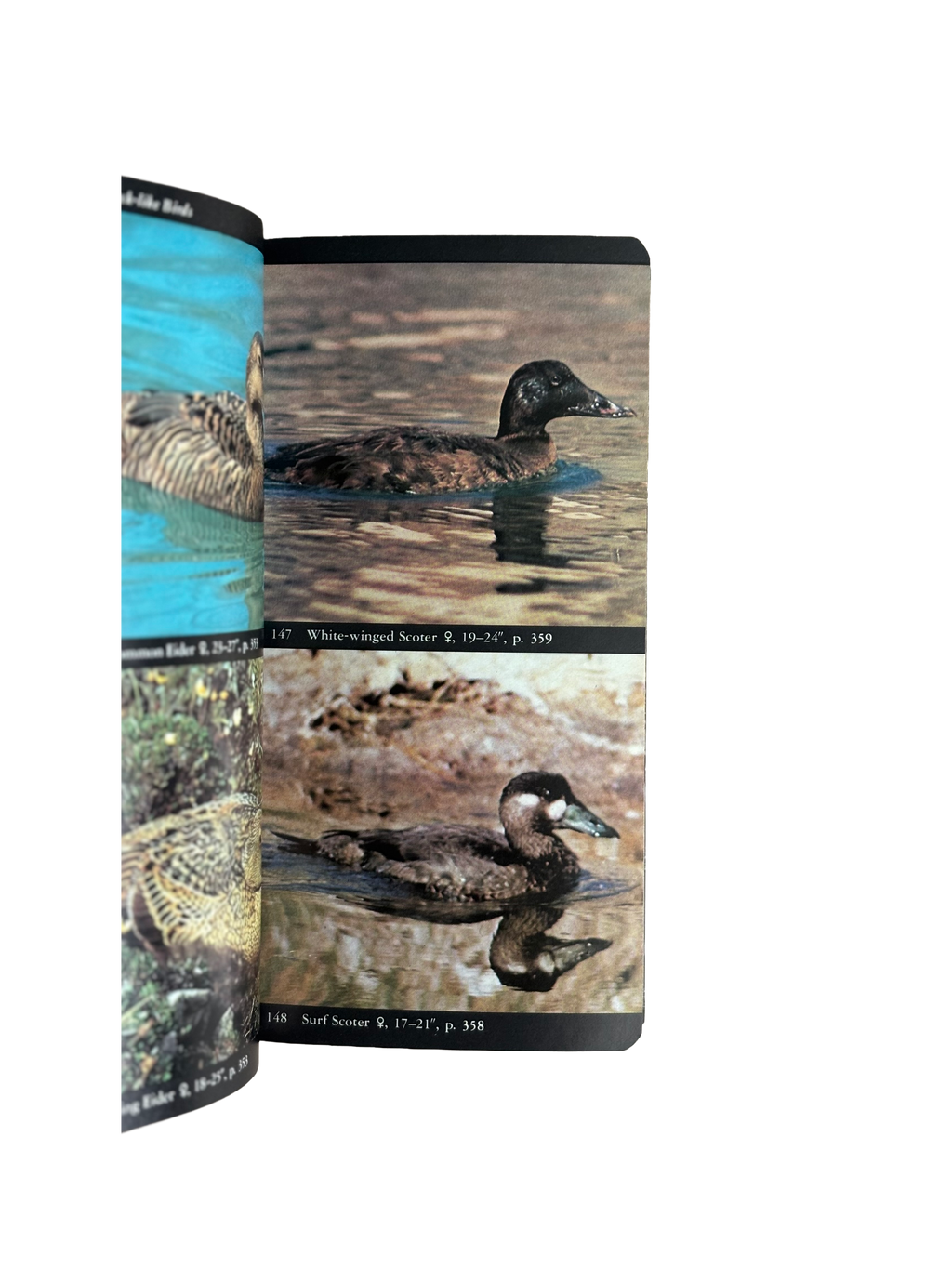 Audubon Society Bird Guide to North American Birds - Eastern Region
