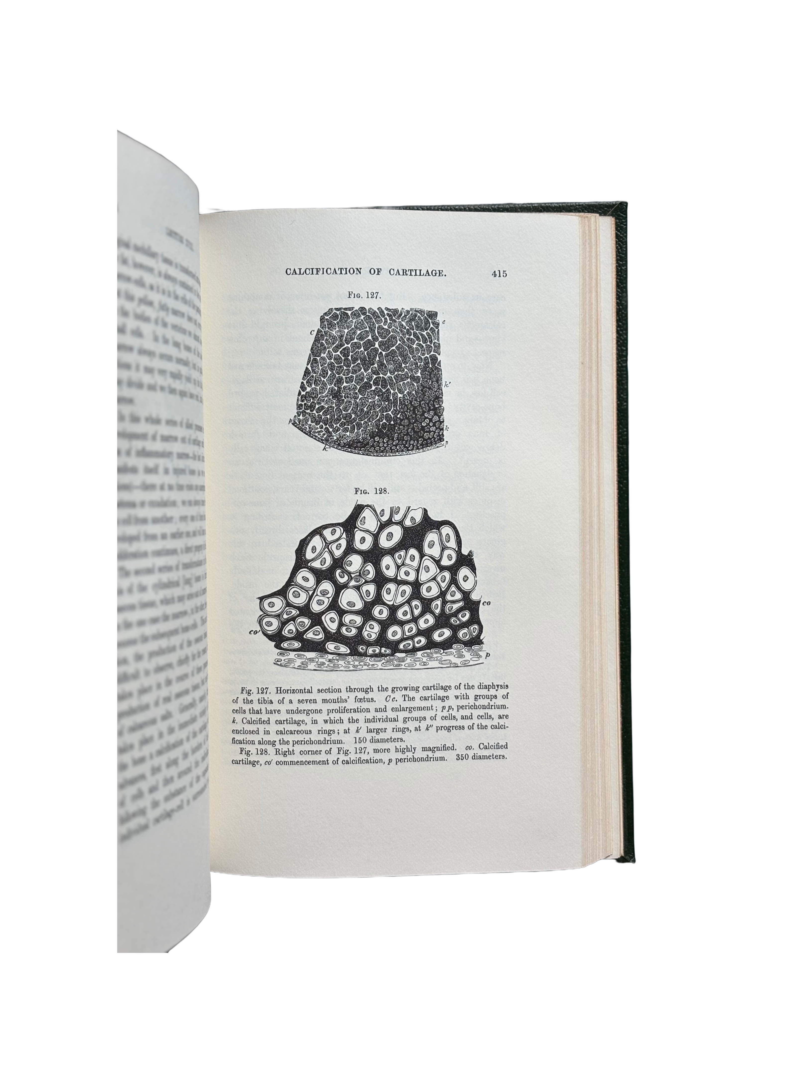 Cellular Pathology by Prof. Rudolph Virchow