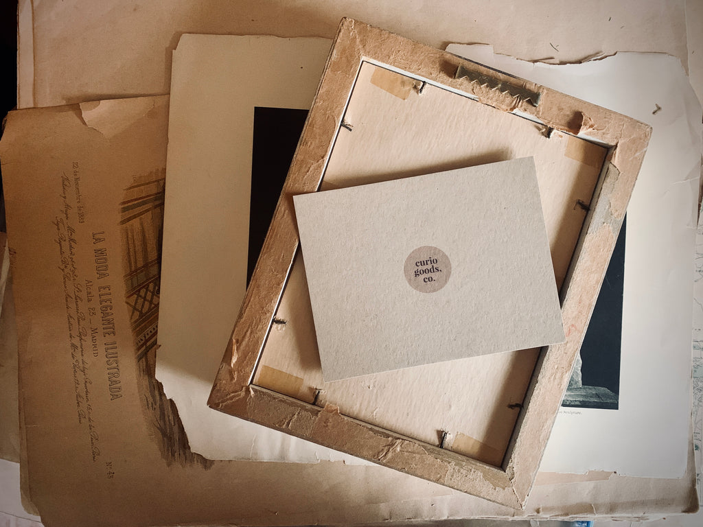 Vintage Shadow Box Frame Portrait of a Woman