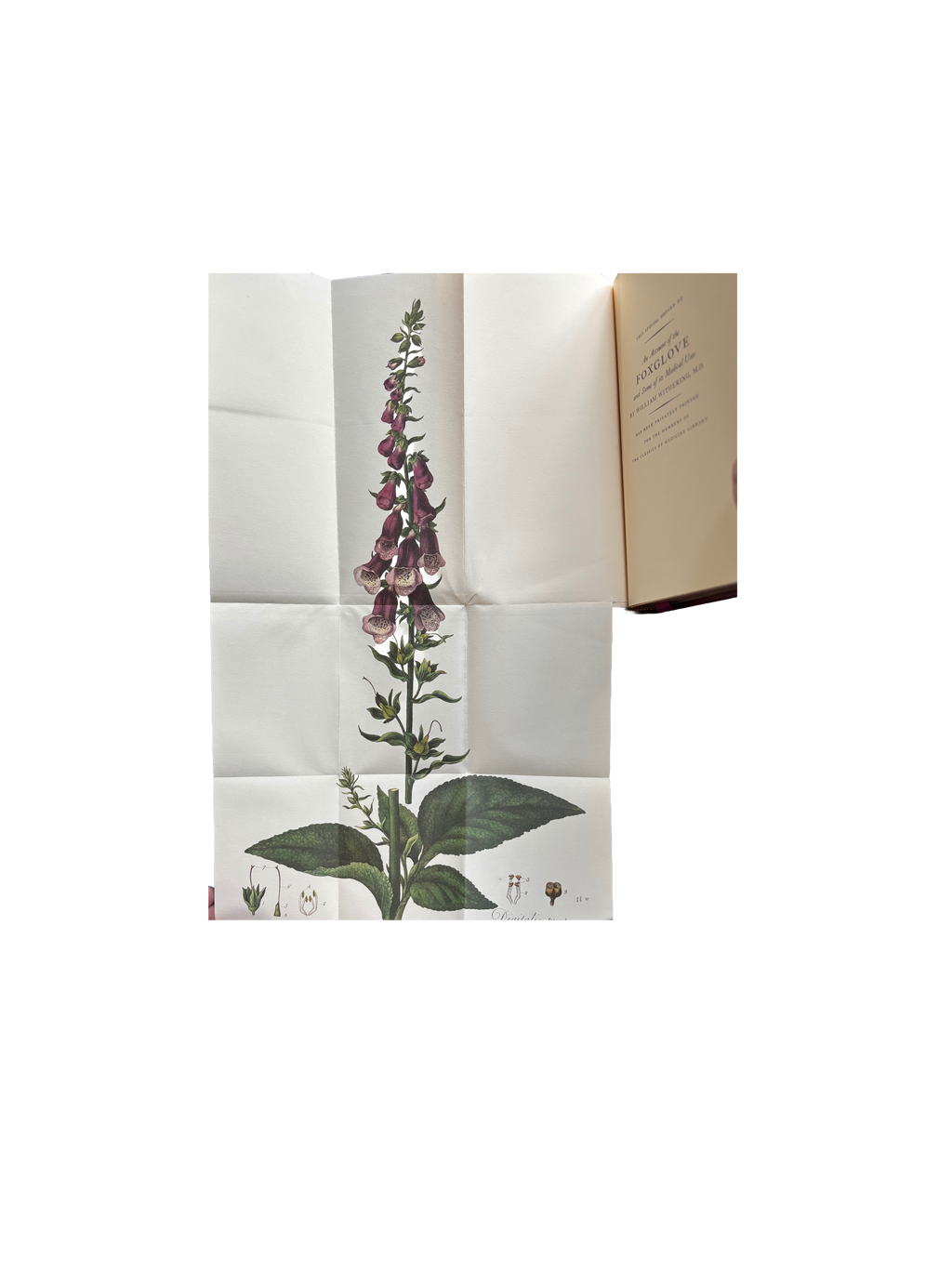 An Account of the Foxglove by William Withering, M.D.