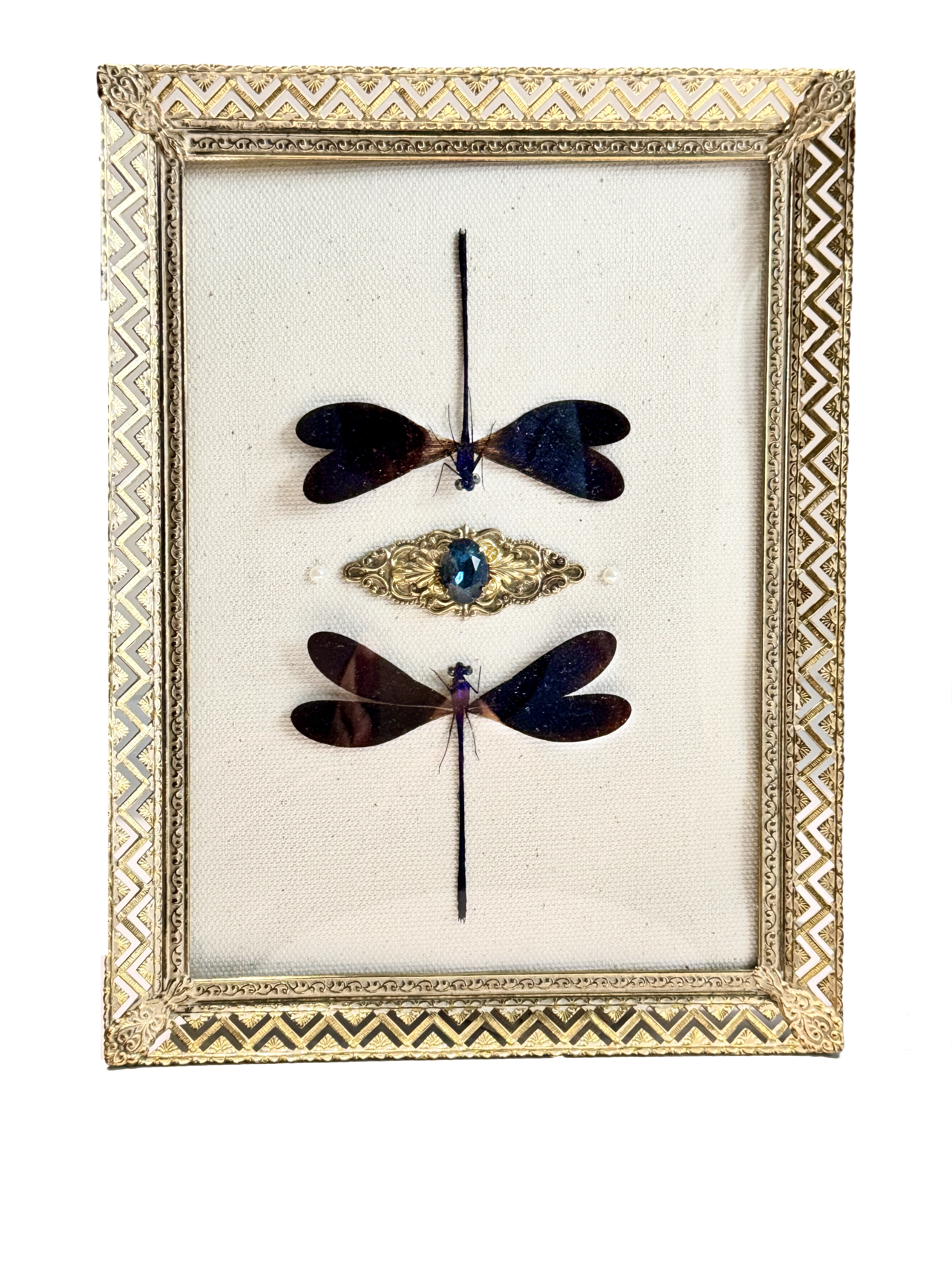 Preservation No. 057: Vestalis luctuosa Pair