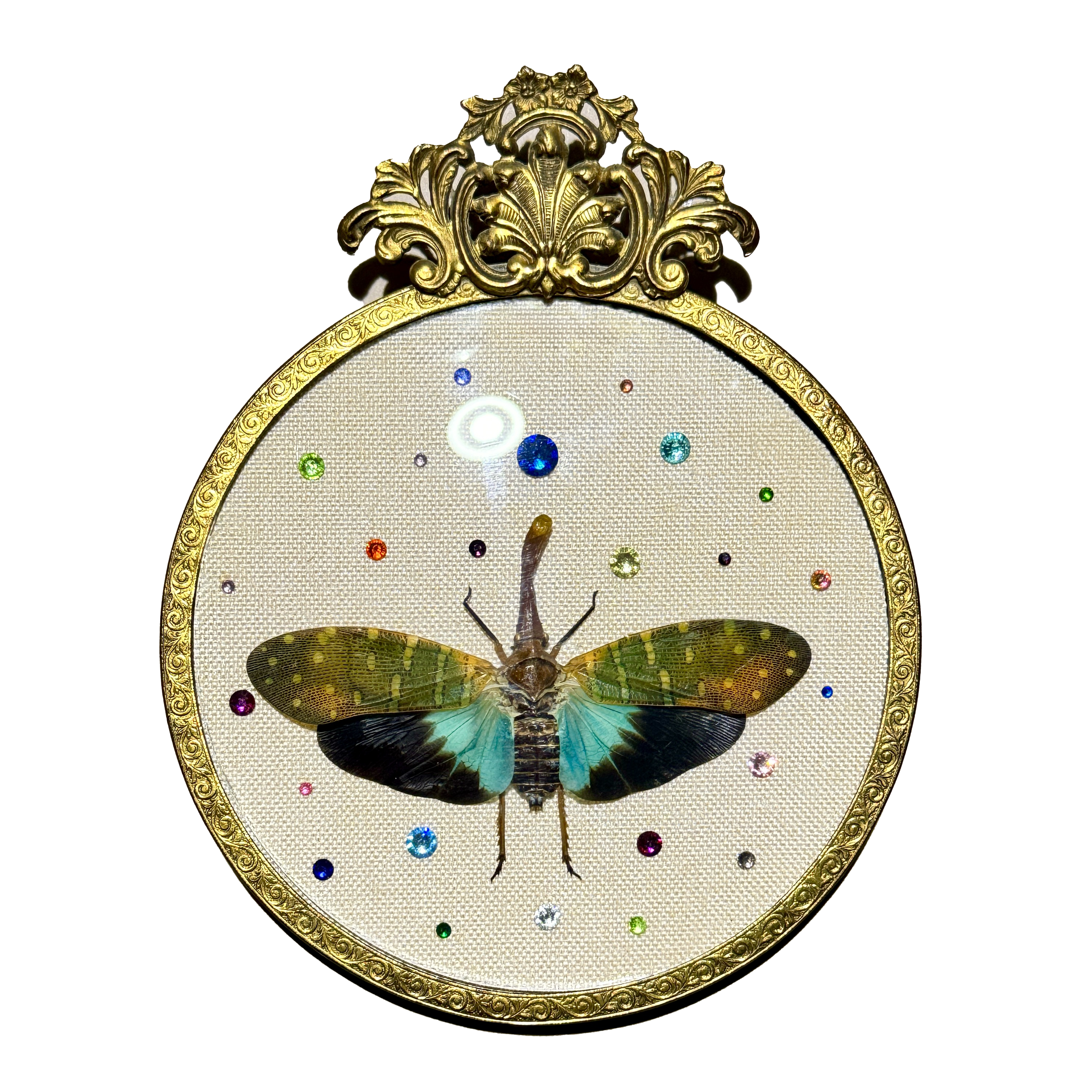 Preservation No. 058: Pyrops gungii