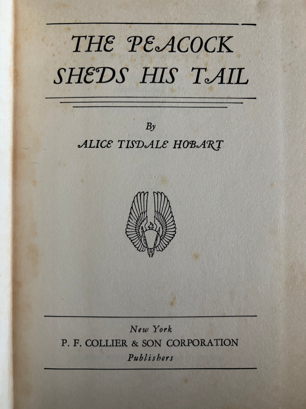 Peacock Sheds His Tail