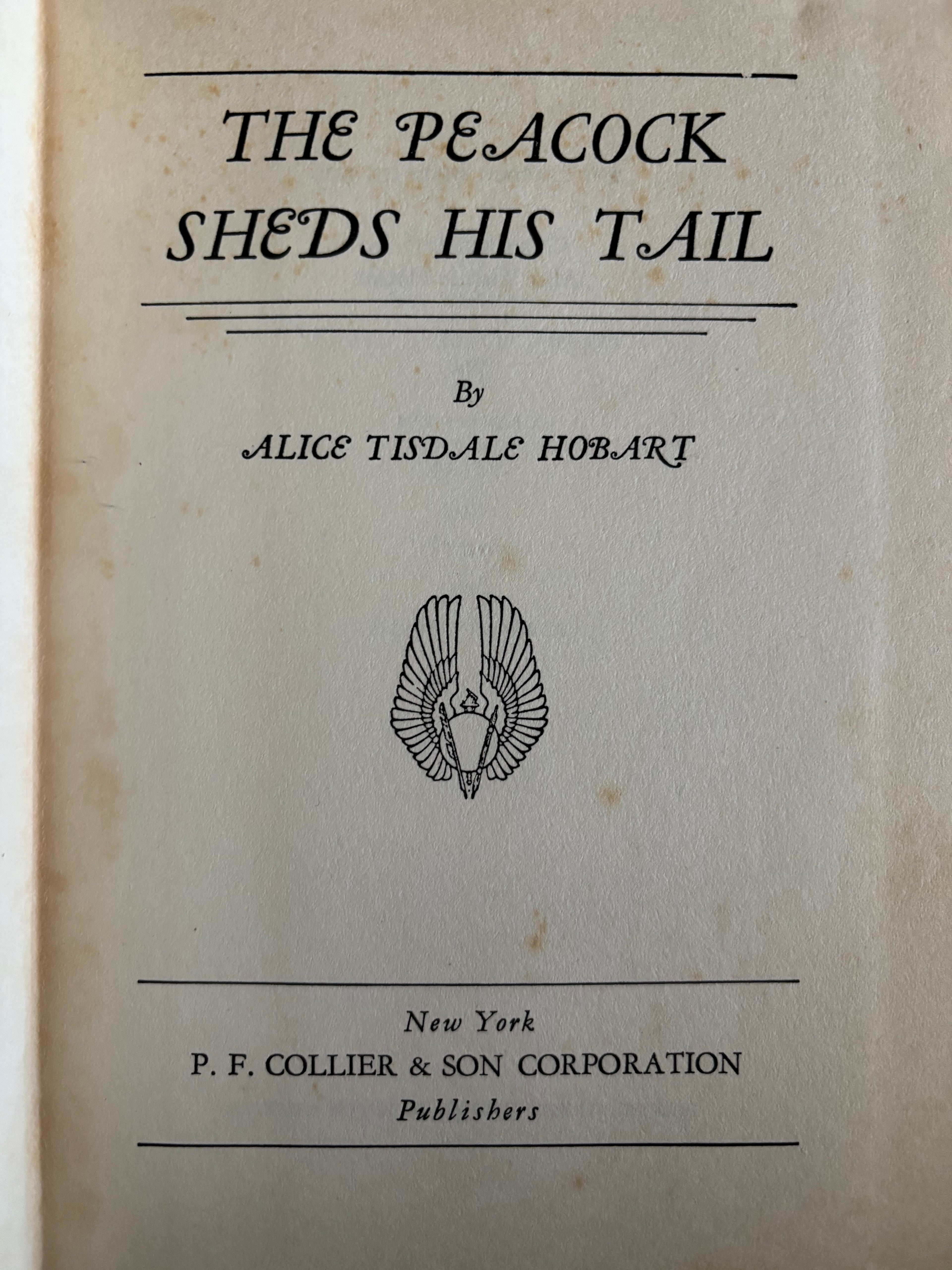 Peacock Sheds His Tail