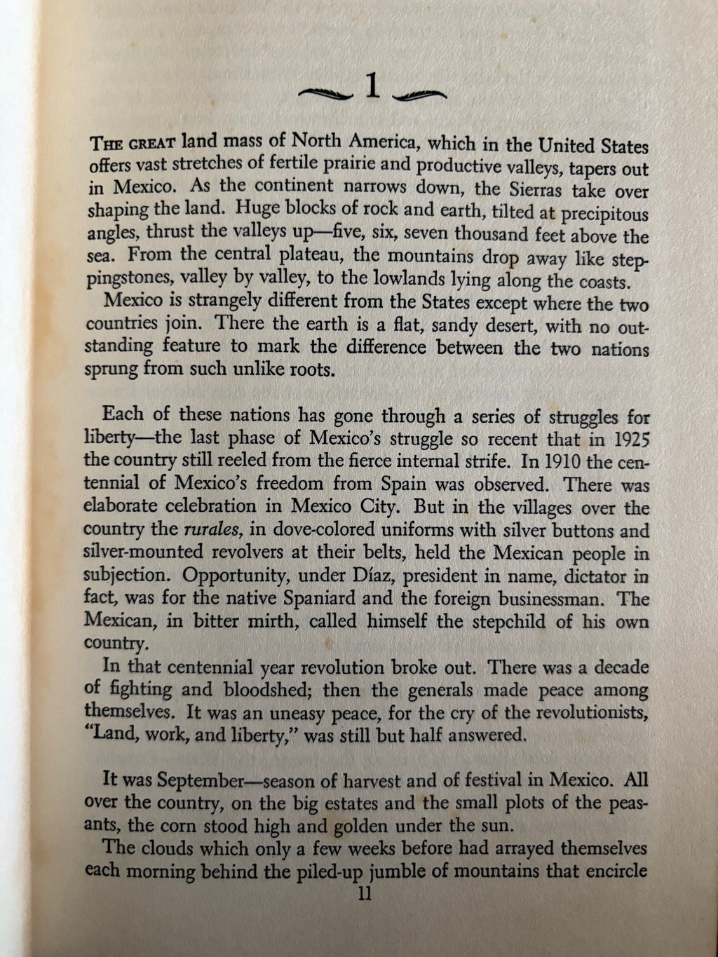 Peacock Sheds His Tail