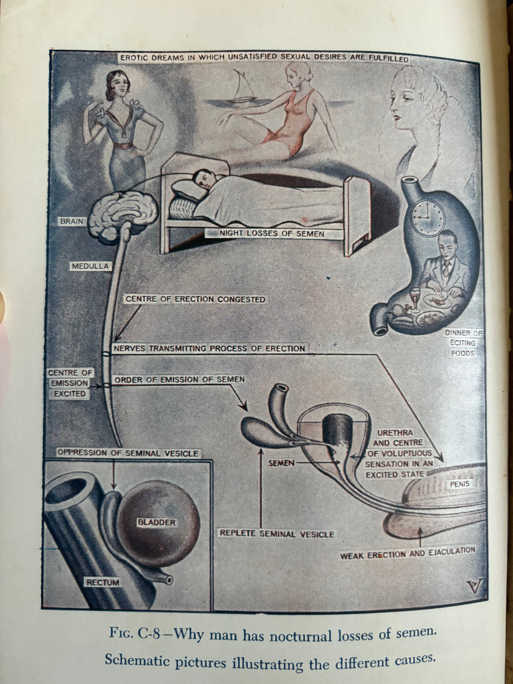 The Illustrated Encyclopedia of Sex