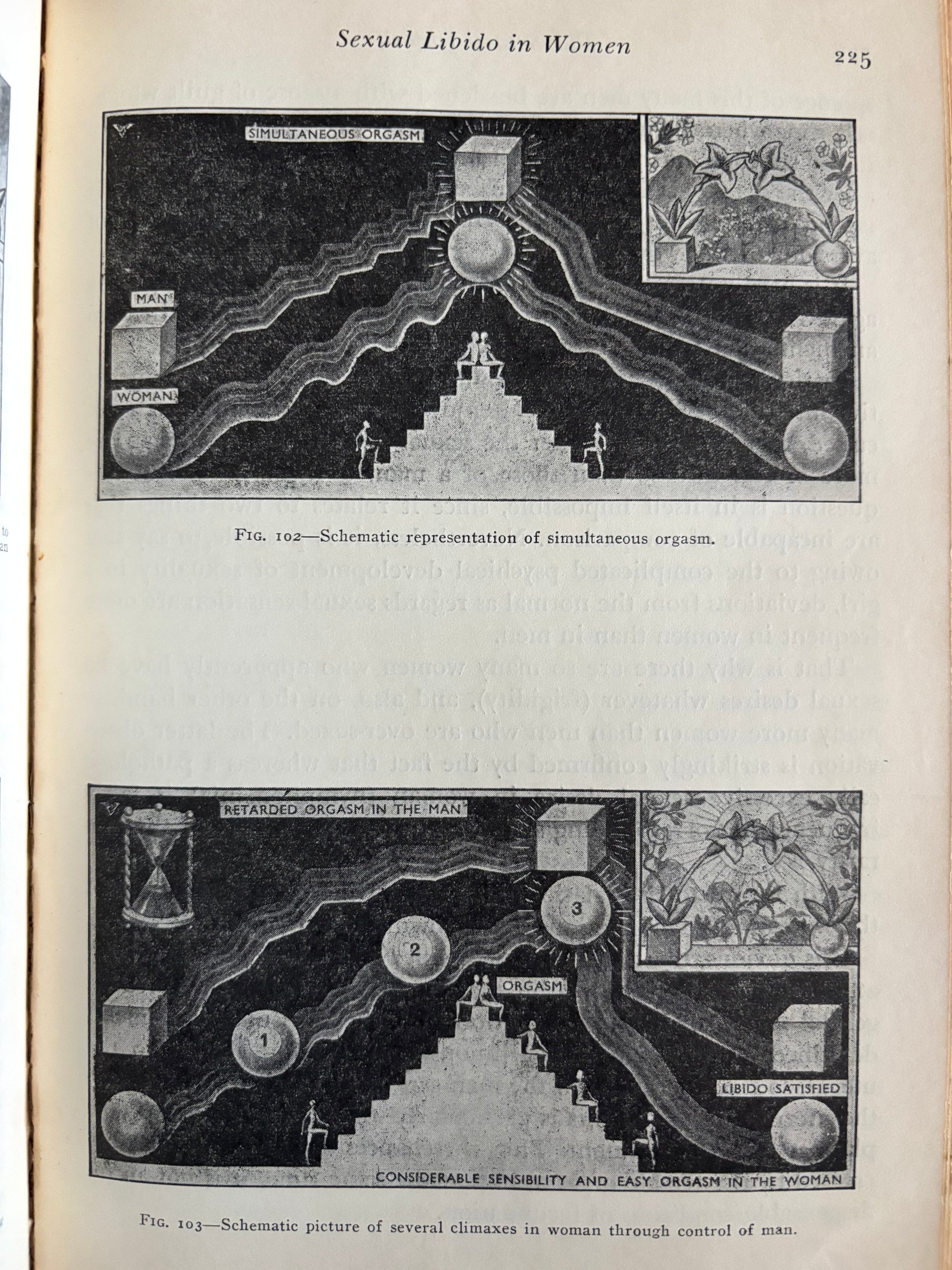 The Illustrated Encyclopedia of Sex