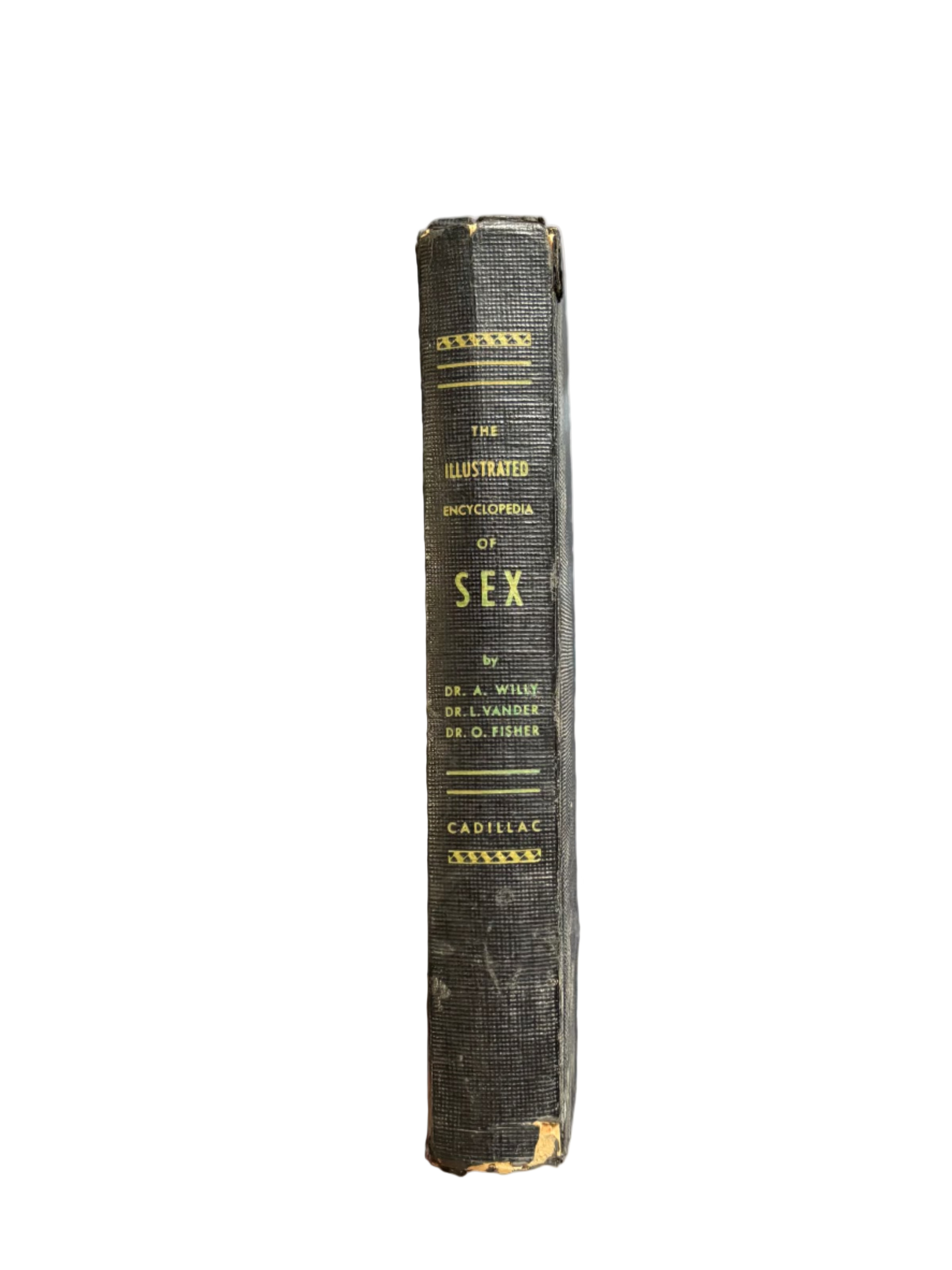 The Illustrated Encyclopedia of Sex