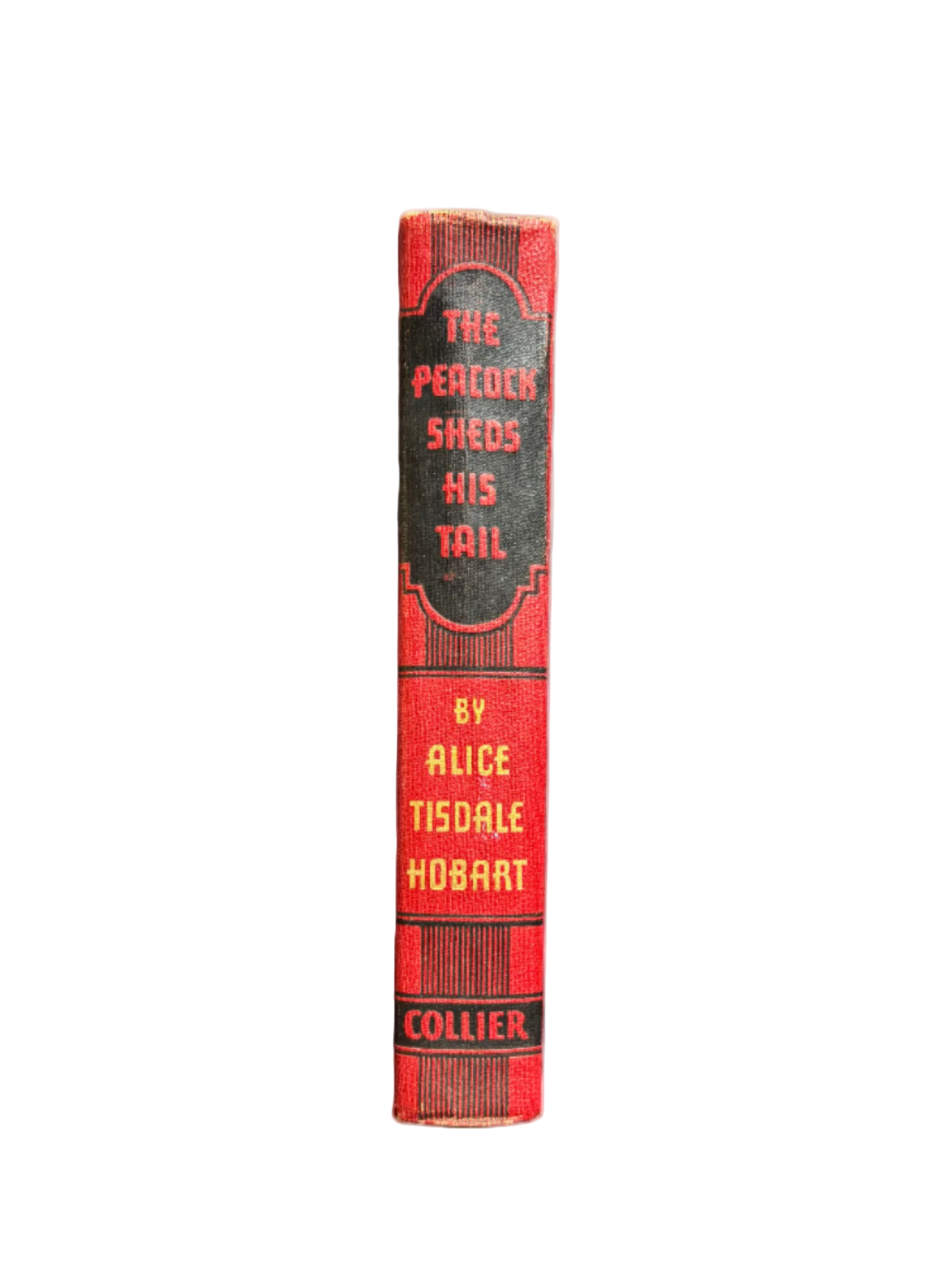 Peacock Sheds His Tail